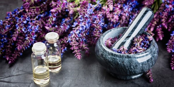 تصویر 2 از خرید و قیمت گیاه دارویی مریم گلی + فروش صادراتی